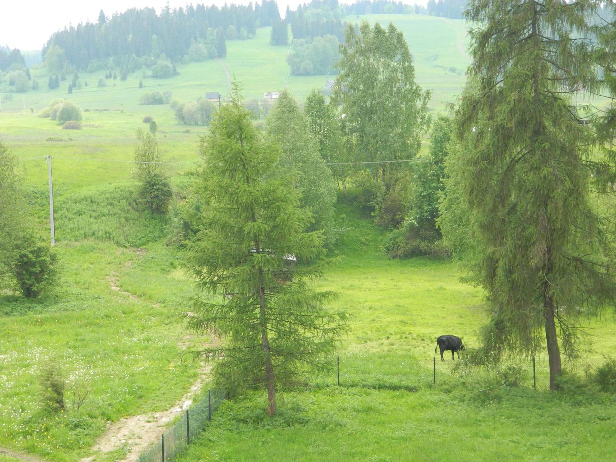 Dom Wypoczynkowy Julia Białka Camera foto